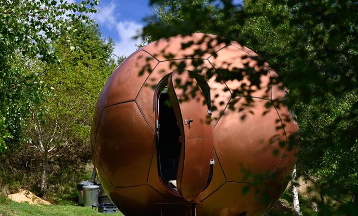 The glorious copper coloured Earth Conker